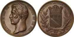 World Coins - France, Medal, Charles X, Visite de Troyes, 1828, Bronze, Depaulis,
