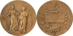 World Coins - France, Medal, Concours Régional Hippique de La Roche-sur-Yon, 1903, Bronze