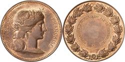 World Coins - France, Medal, Société d'Enseignement par la Sténographie, Bronze, Dupuis.D