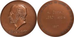 World Coins - France, Medal, Esculape, Ordre des Médecins de la Creuse, 1997, Lavrillier