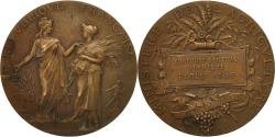 World Coins - France, Medal, Agriculture, Concours Central Hippique, Paris, 1905, Dubois.A