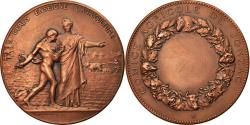 World Coins - France, Medal, Comice Agricole de Jonzac, Charente Maritime, Dubois.H,