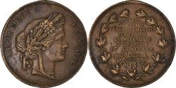 World Coins - France, Medal, Fêtes de Charité, Concours de Musique, Rochefort, 1880