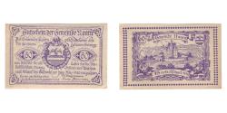 World Coins - Banknote, Austria, Naarn O.Ö. Gemeinde, 60 Heller, paysage 1, 1920, 1920-12-31
