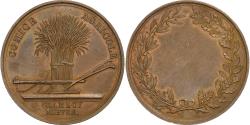 World Coins - France, Medal, Comice Agricole de Clamecy, Nièvre, n.d., Copper,
