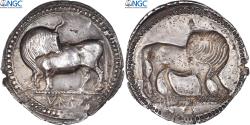 Ancient Coins - Lucania, Nomos, ca. 550-510 BC, Sybaris, Silver, NGC, , SNG-Cop:1388