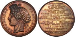 World Coins - France, Medal, Jules Grévy Elu Président de la République, Politics, 1885