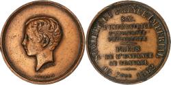 World Coins - France, Medal, Napoléon IV, Société du Prince Impérial, Enfance au Travail