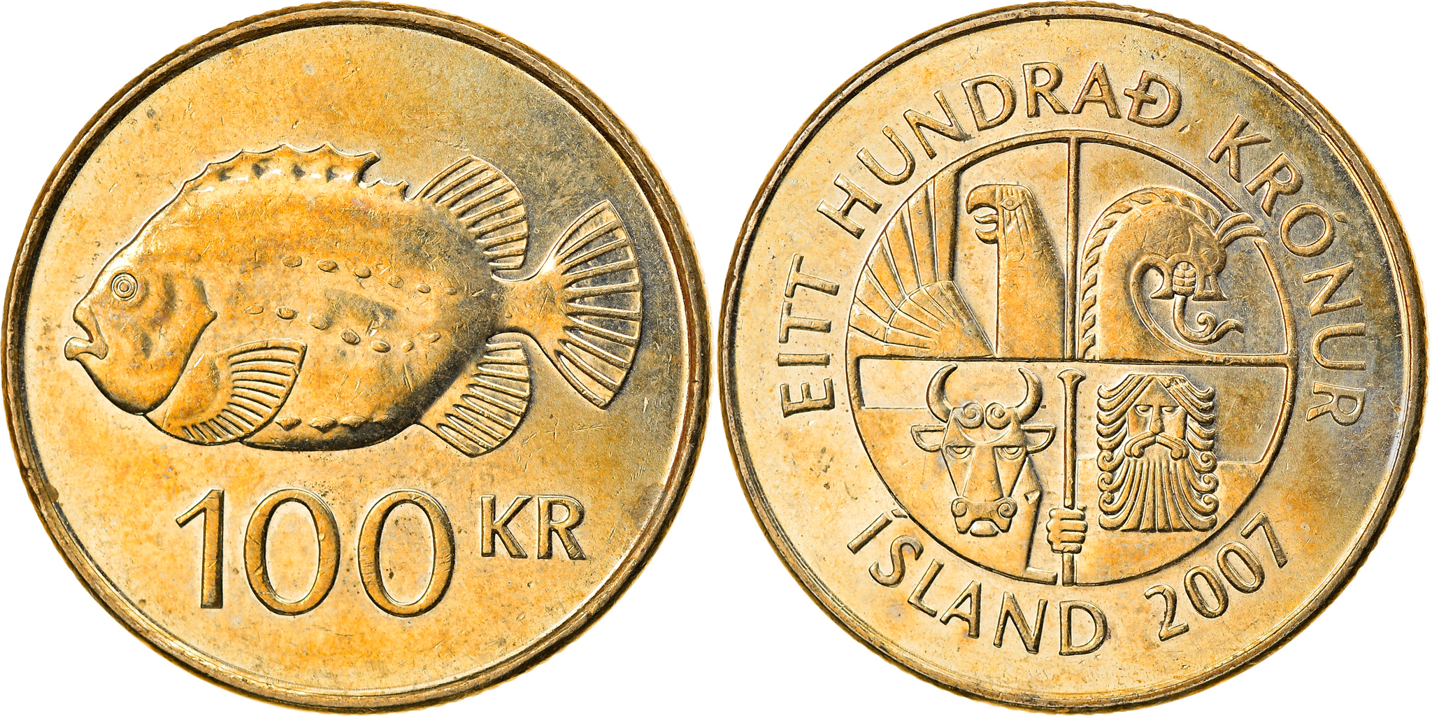 Coin Iceland 100 Kronur 2007 Nickel brass KM 35 European