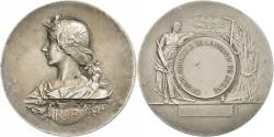 World Coins - France, Medal, Comice Agricole de l'Arrondissement de Cosne, n.d., Silvered