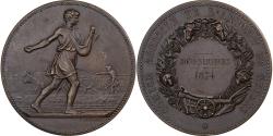 World Coins - France, Medal, Comice Agricole de l'Arrondissement de Nevers, 1874, Bronze
