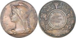 World Coins - France, Medal, Association Agricole de Sant-Amand, Cher, Agriculture, 1891