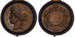 World Coins - France, Medal, Comice Agricole de l'Arrondissement de Cosne, n.d., Bronze