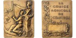 World Coins - France, Plaquette, Comice Agricole de Chartres, n.d., Bronze,