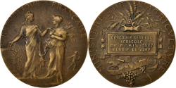 World Coins - France, Medal, French Third Republic, Business & industry, 1907, Dubois.A