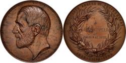 World Coins - Belgium, Medal, Arts & Culture, 1886, , Bronze