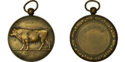 World Coins - Belgium, Medal, Agriculture, Amélioration de la Race Bovine, Namur, Dillens