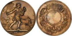 World Coins - France, Medal, Comice Agricole de Rouen, Bronze, Lagrange,