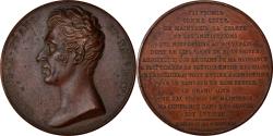 World Coins - France, Medal, Charles X, Maintien de la Charte, Paris, History, 1824, Gayrard