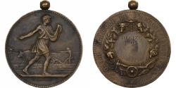 World Coins - France, Medal, Comice Agricole de l'Arrondissement de Nevers, 1903, Bronze