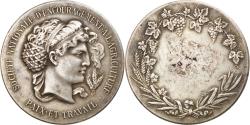 World Coins - France, Medal, Société Nationale d'encouragement à l'agriculture,