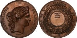 World Coins - France, Medal, Concours Général d'Animaux et de Basse-Cour, Paris, 1878