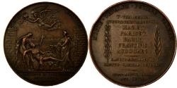 World Coins - France, Medal, Louis XVIII, Epidémie de Fièvre Jaune, 1821, Gayrard