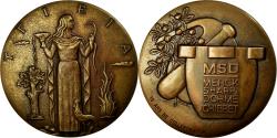 World Coins - France, Medal, Hygieia, Laboratoires M.S.D-Chibret, 1978, Bronze, Baron