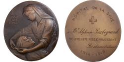 World Coins - France, Medal, Hôpital de la Soie, Blessés de Guerre, 1914-1919, Bronze, Ovide