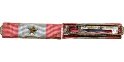 World Coins - France, Théâtre d'Opérations Extérieures, WAR, Medal, Barrette de Rappel