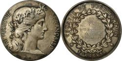 World Coins - France, Medal, Conseil de Prud'Hommes, Toulouse, 1901, Dupuis.D,