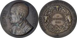 World Coins - France, Medal, Olivier de Serres, Concours d'Agriculture de Serquigny, 1901