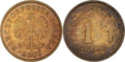 World Coins - Coin, Poland, Grosz, 2007, Warsaw, , Brass, KM:276