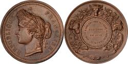 World Coins - France, Medal, Comité d'Agriculture de Semur, 1888, Copper, Desaide,