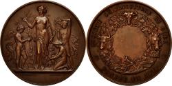 World Coins - France, Medal, Société d'Agriculture du Cher, Espèce Ovine, 1818, Borrel.A