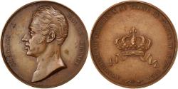 World Coins - France, Medal, Charles X, Politics, Society, War, , Bronze
