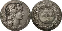 World Coins - France, Medal, Grande Guerre, Mobilisation des Alsaciens Lorrains, 1919