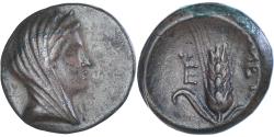 Lucania coins for sale - Buy Lucania coins from the most respected