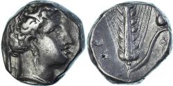 Ancient Coins - Coin, Lucania, Stater, ca. 340-320 BC, Metapontion, , Silver, HN