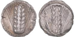 Ancient Coins - Lucania, Nomos, ca. 510-470 BC, Metapontum, Silver, , HGC:1-1028