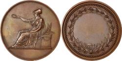 World Coins - France, Medal, Louis XVIII, Politics, Society, War, Andrieu, , Bronze