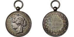 World Coins - France, Medal, French Third Republic, Politics, Society, War, 1882, Oudiné