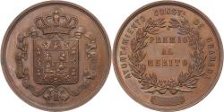 World Coins - Spain, Medal, Ayuntamiento de Granada. Premio al Mérito, Copper,