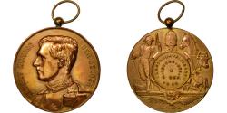 World Coins - Belgium, Medal, Albert, Roi des Belges, Landbouwfrijskamp, Loo-Christi, 1926