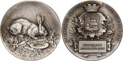 World Coins - France, Medal, Aviculture du Haut-Rhin, Altkirch, 1922, Silvered bronze