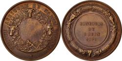 World Coins - France, Medal, French Third Republic, Business & industry, 1879,