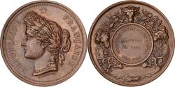 World Coins - France, Medal, Comité d'Agriculture de Semur, 1885, Copper, Desaide,