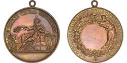 World Coins - France, Medal, Société Nationale d'Encouragement au bien, Society,
