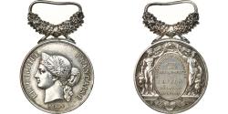 World Coins - France, Actes de Dévouement, Ministère de l'Intérieur, Medal, 1873-1891