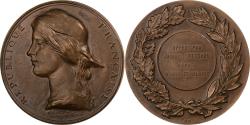 World Coins - France, Medal, Offert par le député d'Ille-et-Vilaine, 1972, Bronze, Corbin